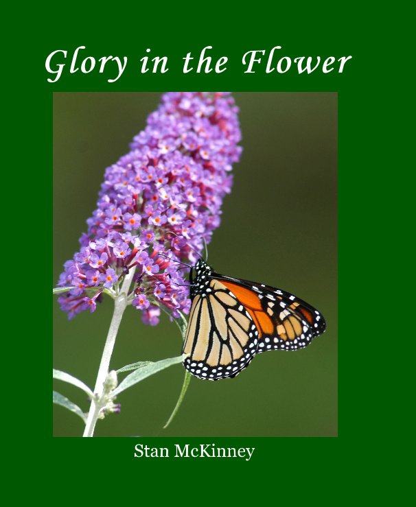 Visualizza Glory in the Flower di Stan McKinney