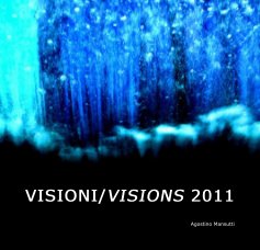 VISIONI/VISIONS 2011 book cover