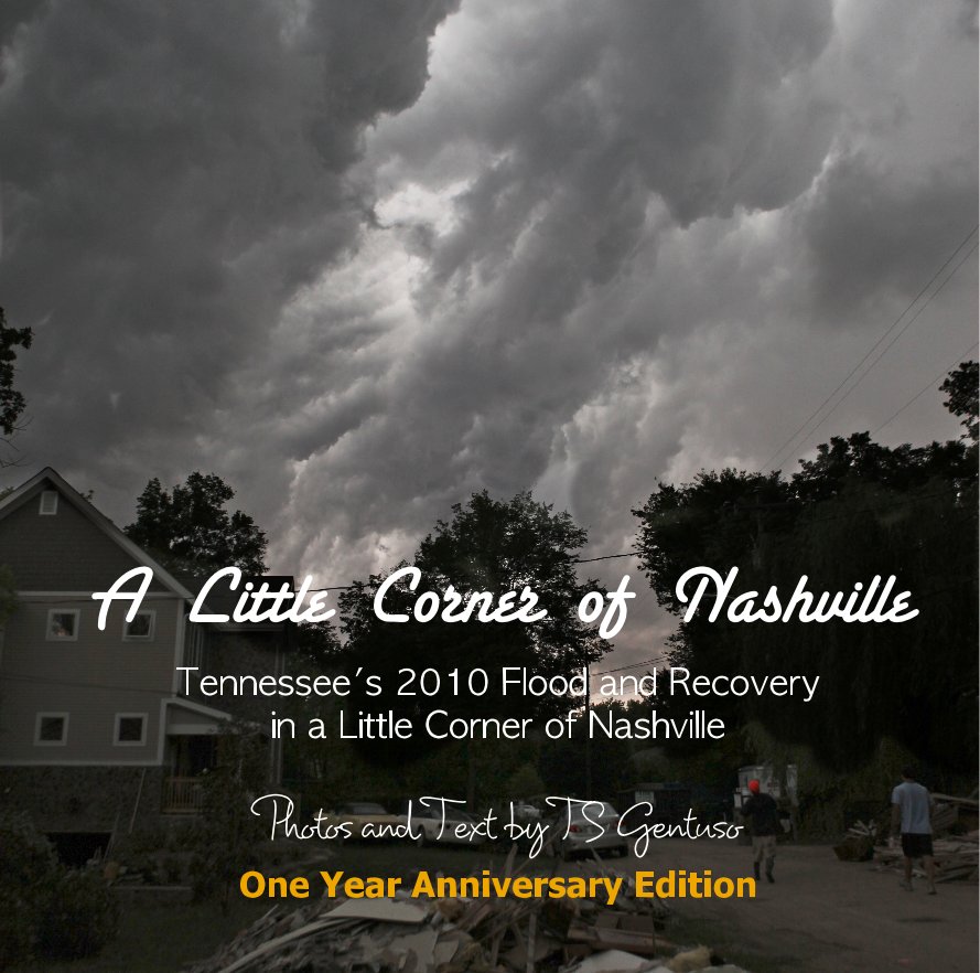 View A Little Corner of Nashville by TS Gentuso