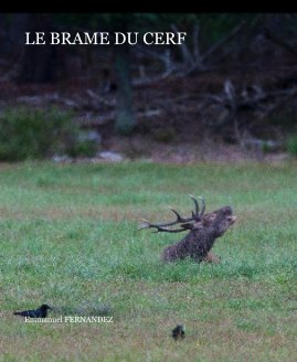 LE BRAME DU CERF book cover