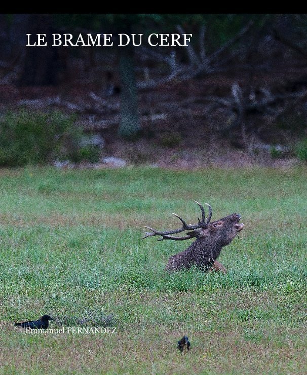 View LE BRAME DU CERF by Emmanuel FERNANDEZ