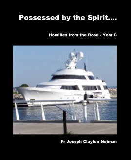 Possessed by the Spirit.... book cover