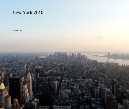 New York 2010 book cover