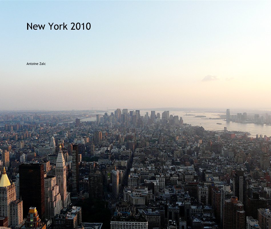View New York 2010 by Antoine Zalc