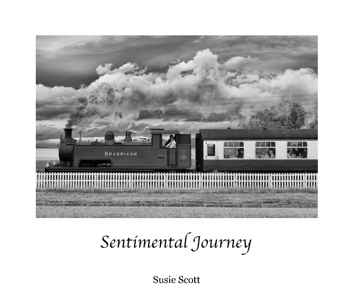 View Sentimental Journey by Susie Scott