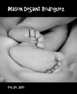 Mason DeSaint Rodriguez book cover