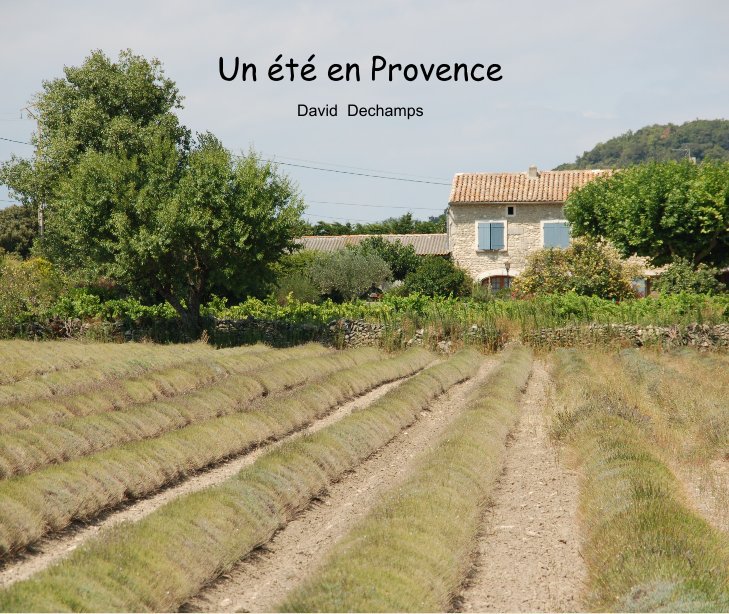 View Un été en Provence by David Dechamps
