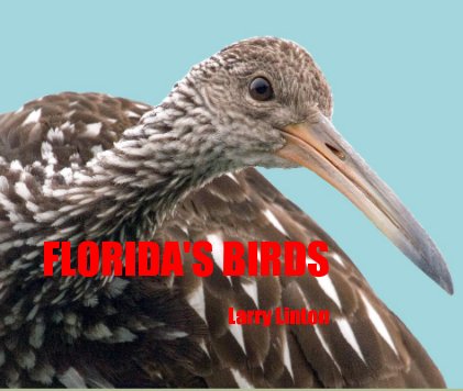 FLORIDA'S BIRDS book cover