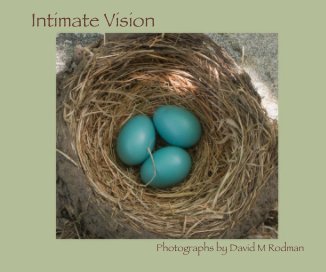 Intimate Vision book cover