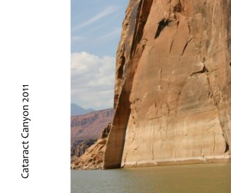 Cataract Canyon 2011 book cover