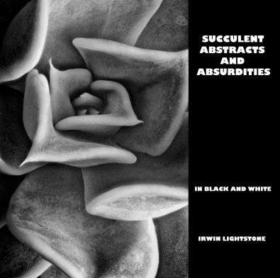 SUCCULENT ABSTRACTS AND ABSURDITIES book cover
