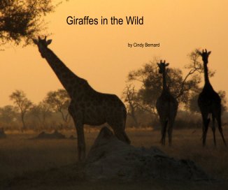 Giraffes in the Wild book cover