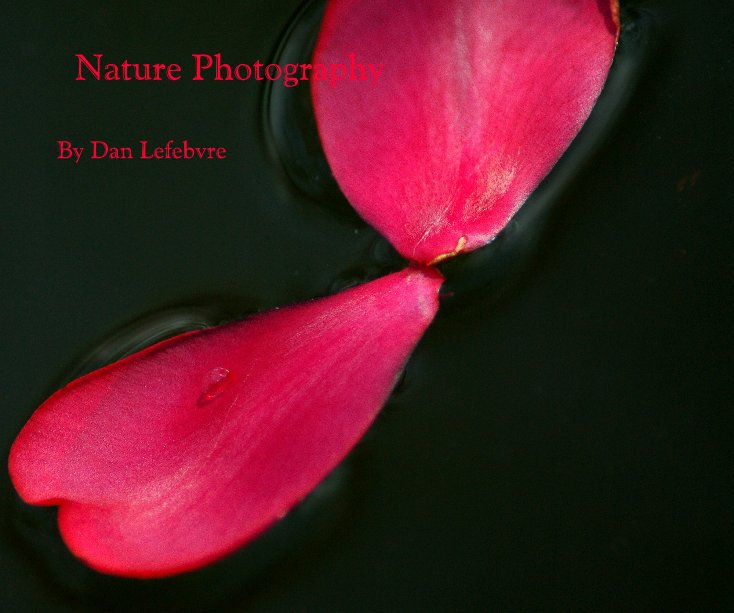 View Nature Photography by Dan Lefebvre