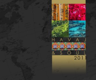 Havaj & Soul 2011 book cover