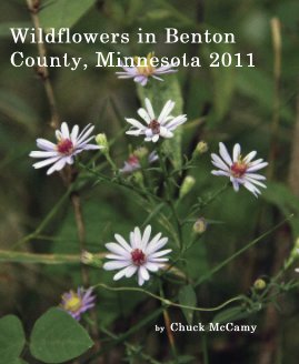 Wildflowers in Benton County, Minnesota 2011 book cover
