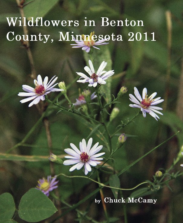 Wildflowers in Benton County, Minnesota 2011 nach Chuck McCamy anzeigen