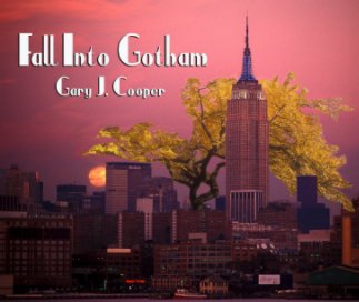 Fall Into Gotham book cover