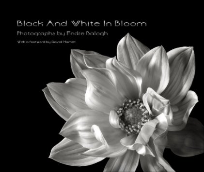 Black And White In Bloom book cover