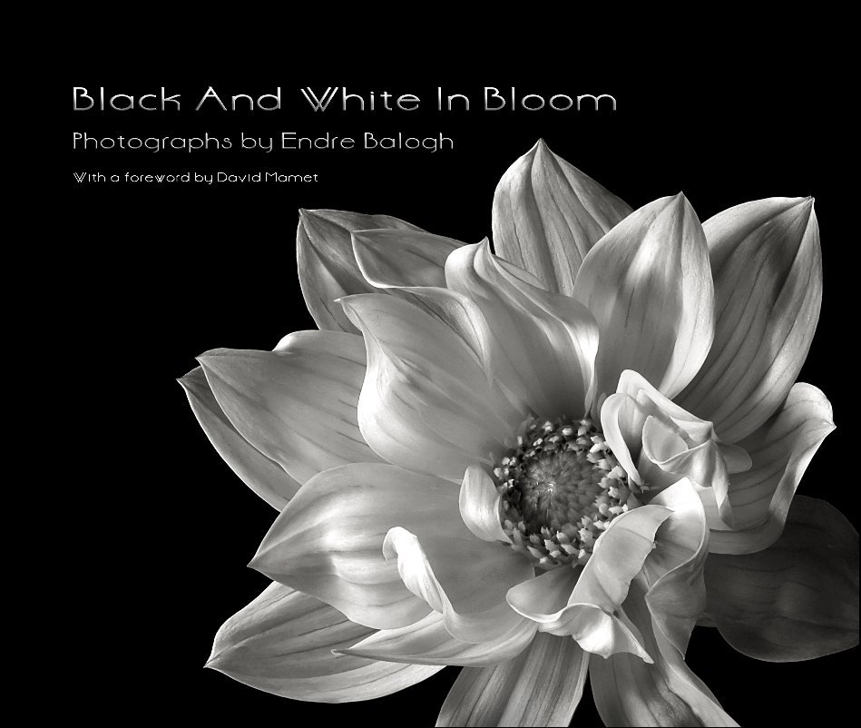 View Black And White In Bloom by Endre Balogh