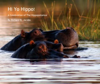 Hi Yo Hippo! book cover