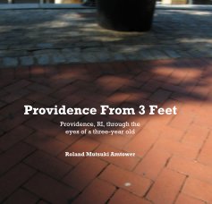 Providence From 3 Feet book cover