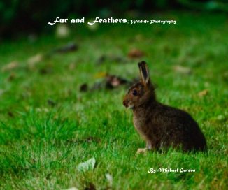 Fur and Feathers: Wildlife Photography book cover