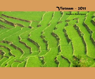Vietnam - 2011 book cover