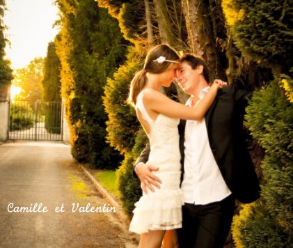 Camille et Valentin book cover