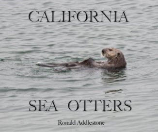 California Sea Otters book cover