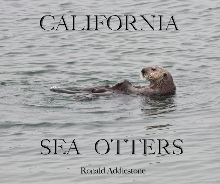 View California Sea Otters by Ronald Addlestone