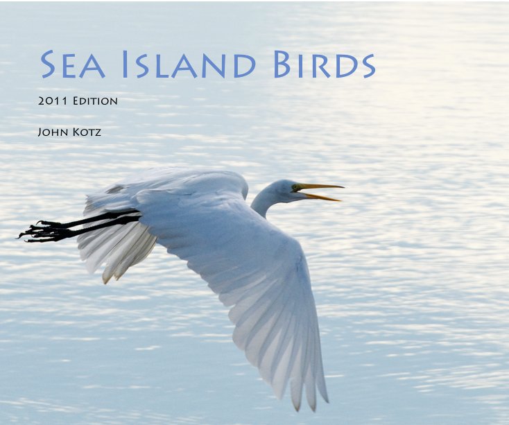Sea Island Birds nach John Kotz anzeigen
