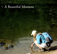A Beautiful Moment book cover