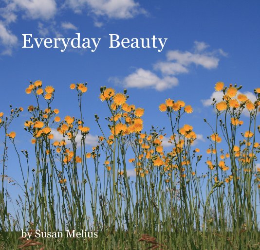 Ver Everyday Beauty por Susan Melius