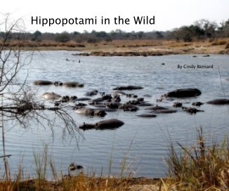 Hippopotami in the Wild book cover