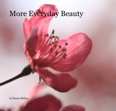 More Everyday Beauty book cover
