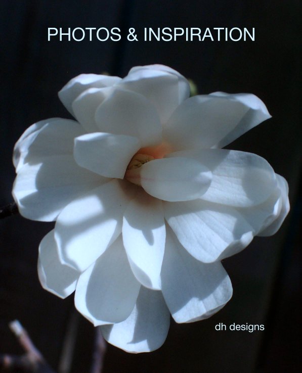 Ver PHOTOS & INSPIRATION por dh designs