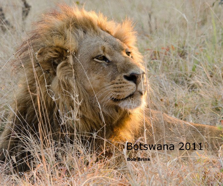 View Botswana 2011 by Bob Brink
