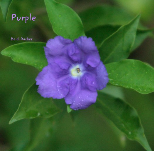 View Purple



Heidi Garber by heidig2