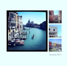 Venecia 2011 book cover