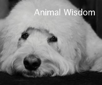 Animal Wisdom book cover