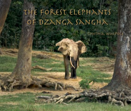 The Forest Elephants of Dzanga Sangha book cover
