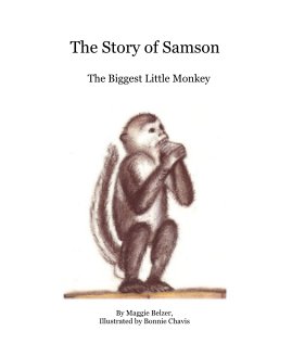 The Story of Samson book cover