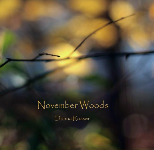 View November Woods by Donna Rosser