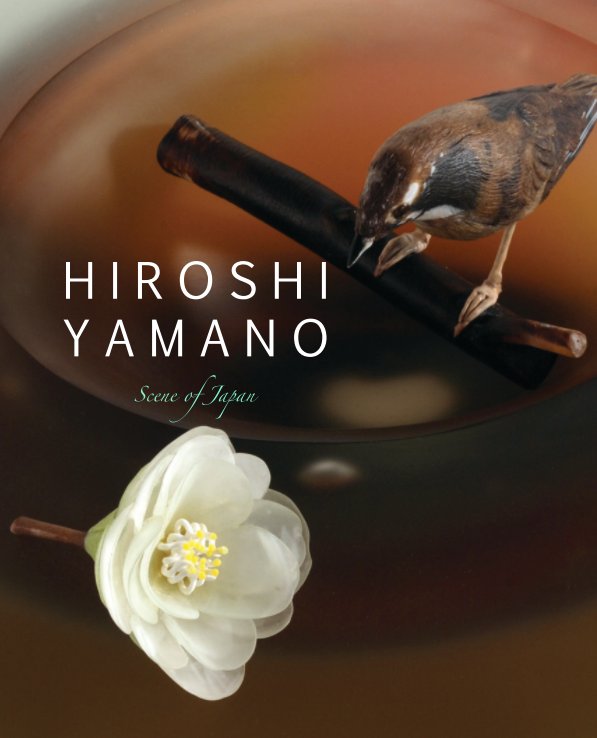 View Hiroshi Yamano by Ken Saunders Gallery