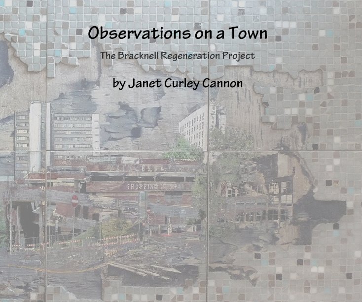 View Observations on a Town by Janet Curley Cannon