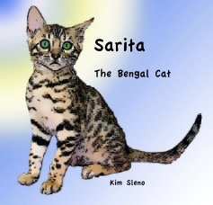Sarita book cover
