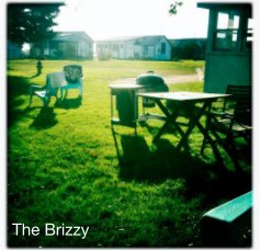 The Brizzy book cover
