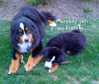 Murphey gets 
                    a new brother... book cover