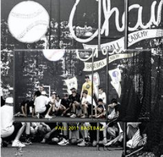 Chain Fall 2011 Baseball book cover
