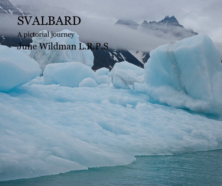 View SVALBARD by June Wildman L.R.P.S
